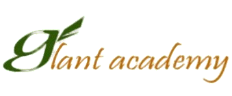 Glant 語言學校 - PECA 認證合作學校