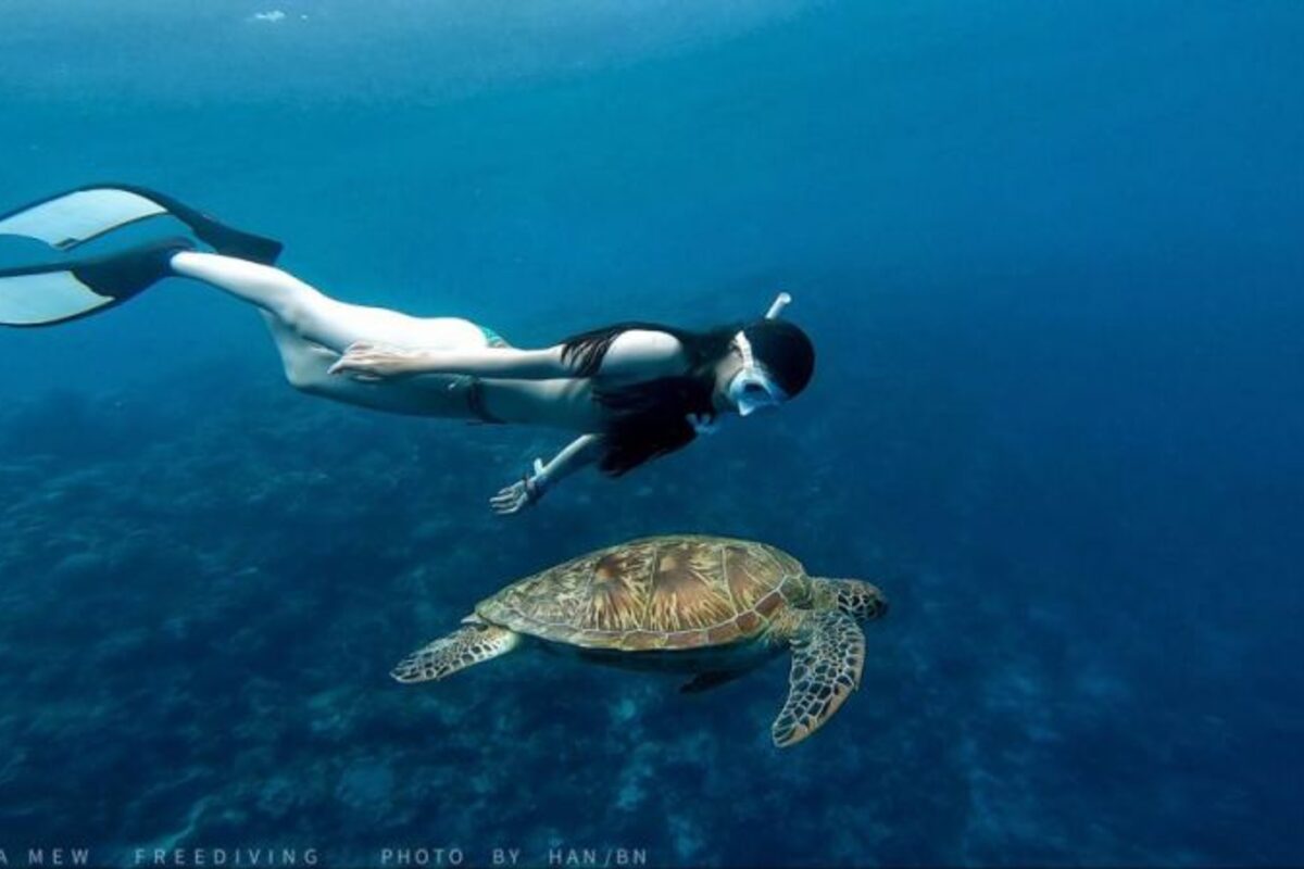 Scuba Mew 自由潛水 - PECA 特約商店